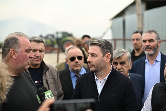 Ο Νίκος Ανδρουλάκης