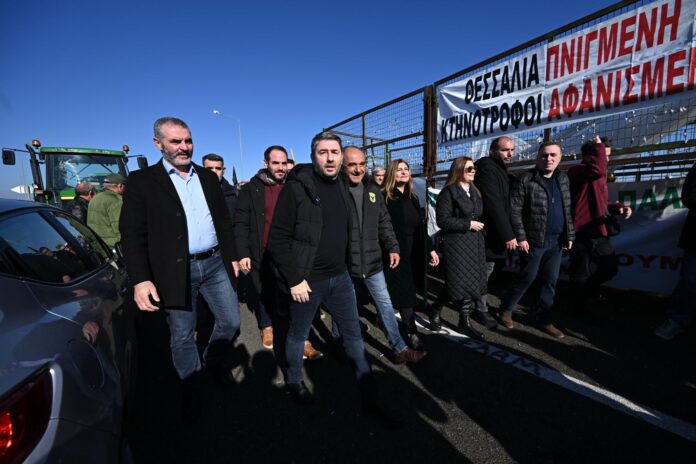 Ο Νίκος Ανδρουλάκης